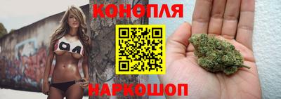тгк Ставрополь