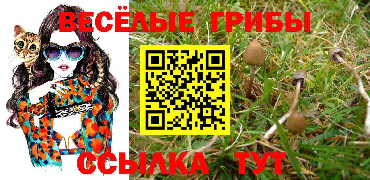 Галлюциногенные грибы MAGIC MUSHROOMS Омск